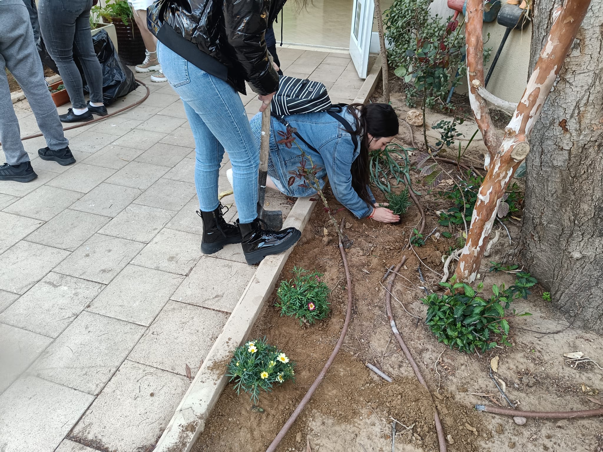 תיכון טוביהו